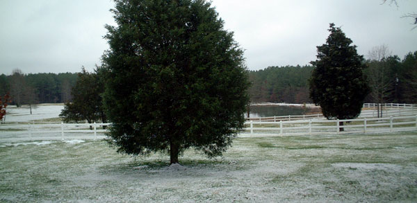 Featured image of post Snow!