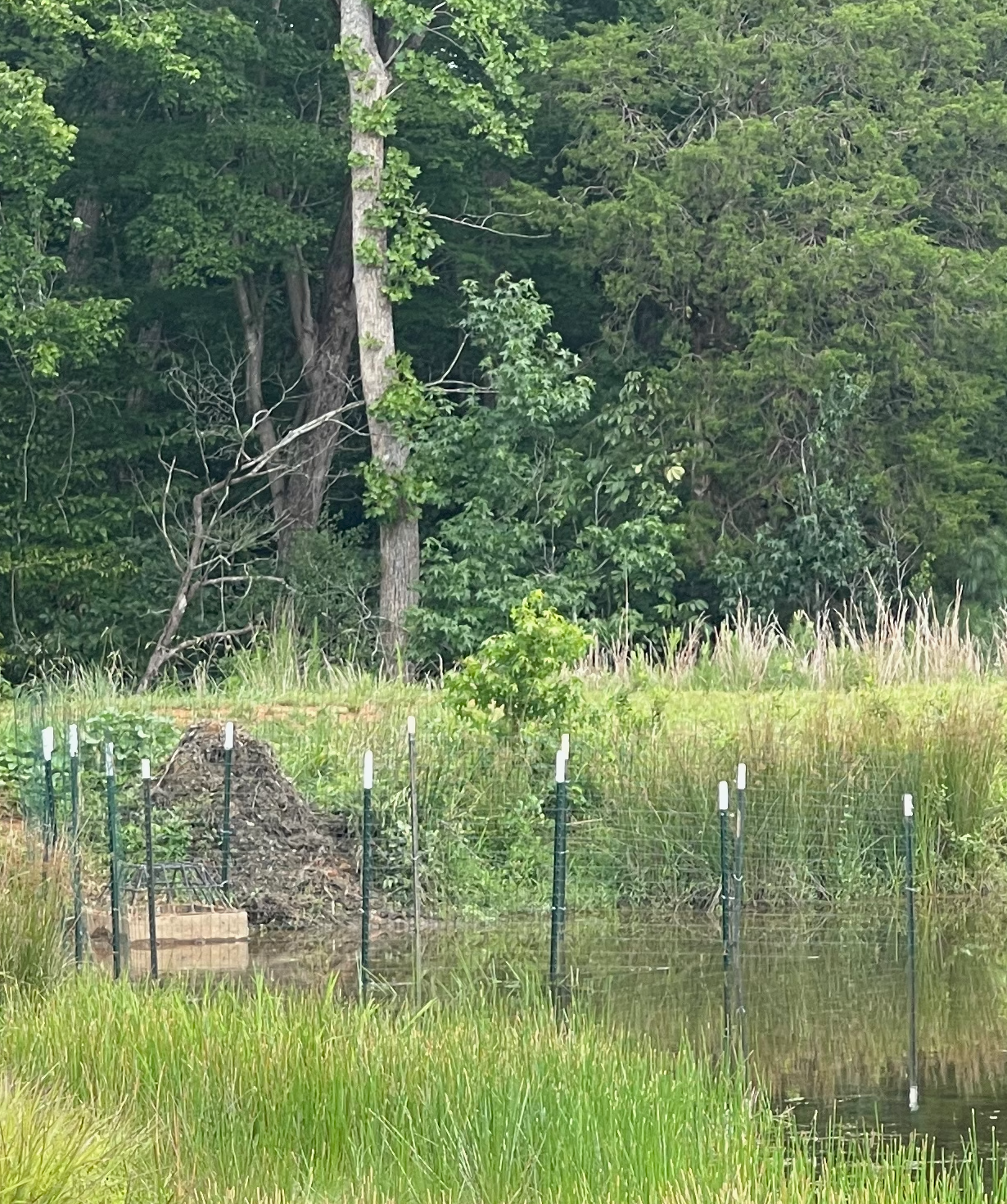 View of fence from a distance